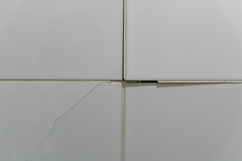 Tile Repair Service